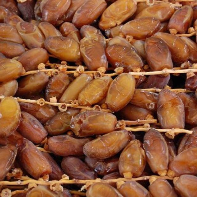 Exploring Jenis2 Kurma: Varieties & Qualities