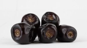 kurma bam